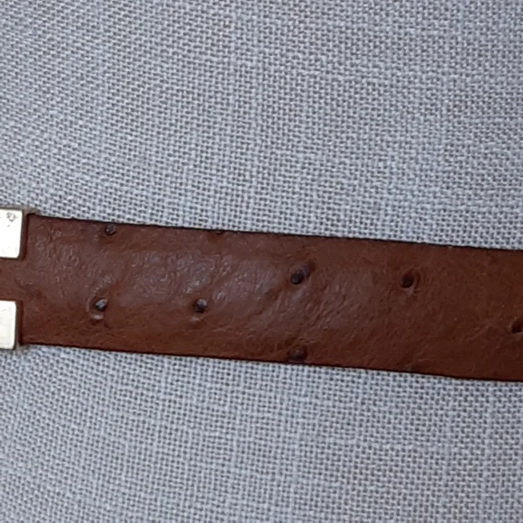 Ostrich Leather Segmented Heavy Brass Hinged Belt Ostrich Leather Segmented Heavy Brass Hinged Belt main image 2